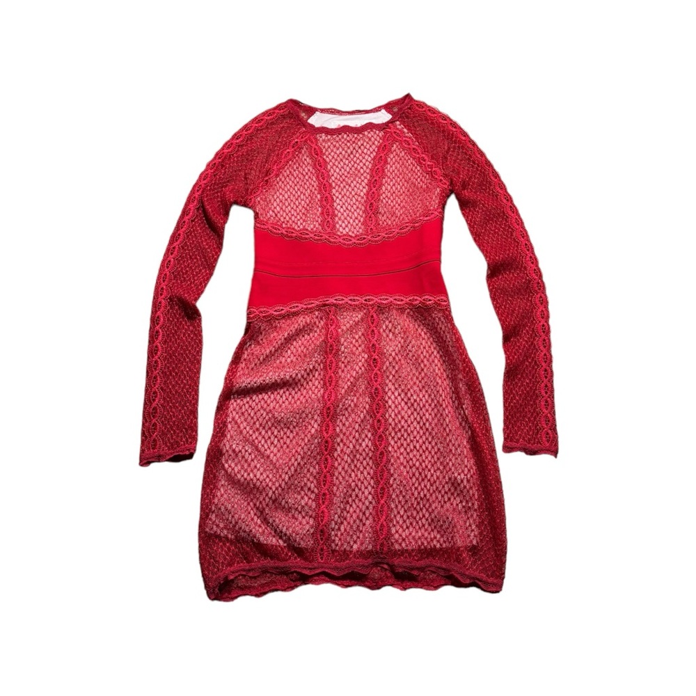 Free People Body Con Lace Mesh Fully Lined Dress
